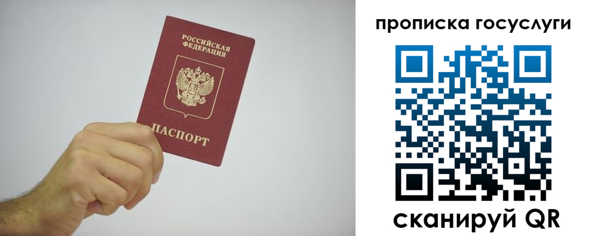 прописка законно в Владимире